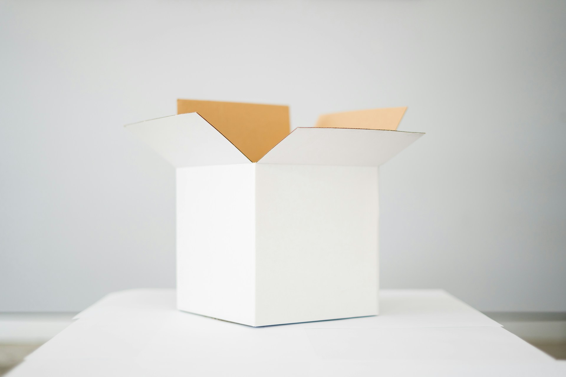 White cardboard box
